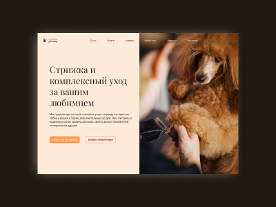 Landing page for grooming salon busyness design dogs landing ui ux web design web site for busyness