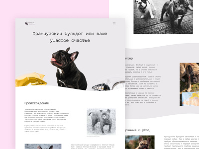 Long read about French bulldog design dogs landing life style longread ui web design