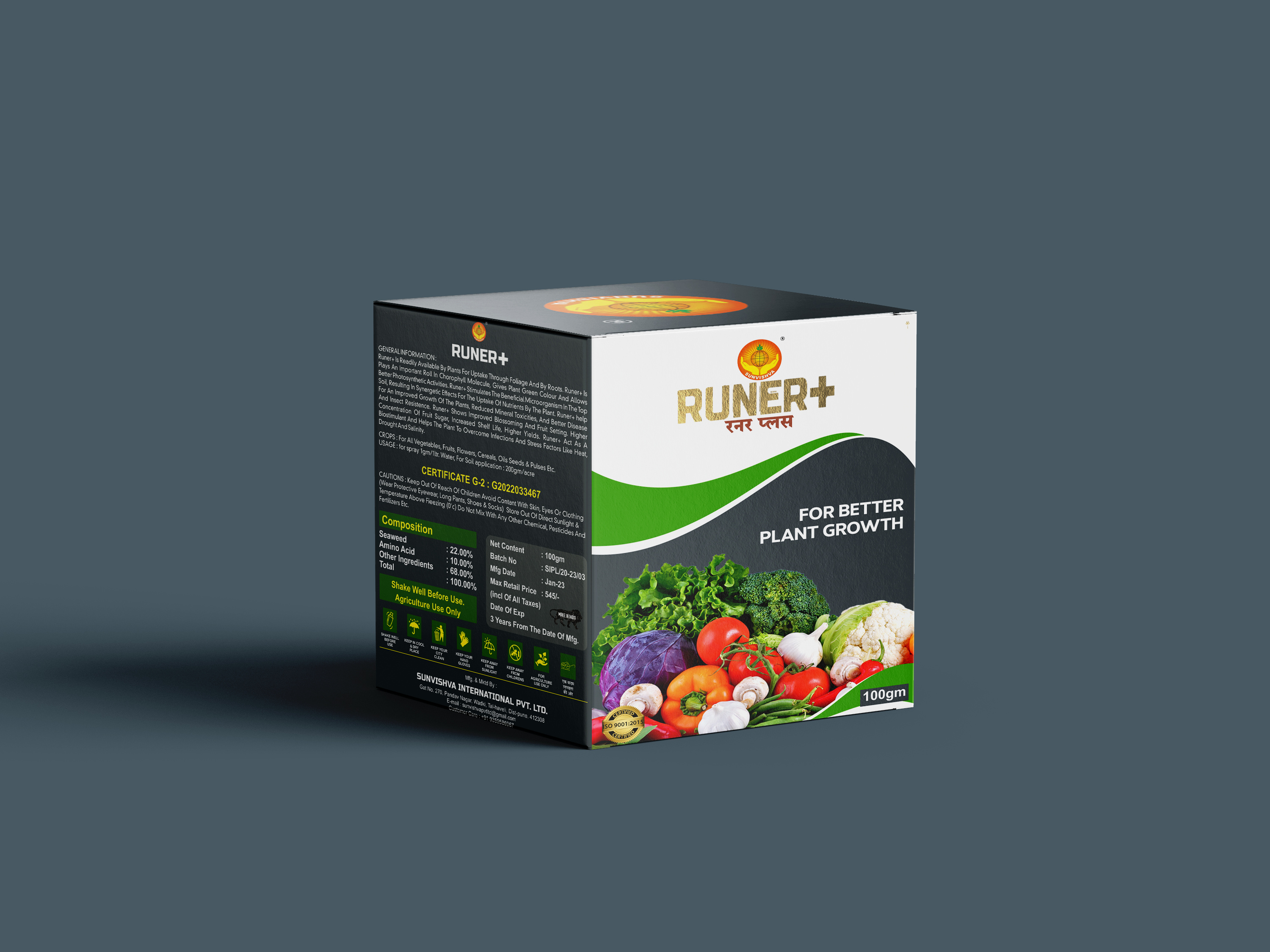 Sunvishva branding brochure graphic design illustrator photoshop