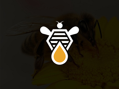 Honey Drops logo agency logo amena akter ankhi bee logo brand identity logo branding business logo company logo creative logo honey drops logo honey logo honeycomb logo modern logo