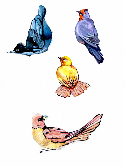 Flock of Birds illustration