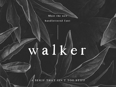 Walker a Handlettered Serif display font serif feminine font hand crafted font hand drawn serif hand lettered serif font instagram font instagram quote font logo font popular serif font quote font serif font sketched font social media quote font soft serif unique serif font walker a handlettered serif