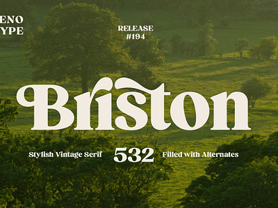 Briston Serif 60s 70s 80s alternates american book briston serif childhood cosmetics display fancy flamboyant logo magazine nostalgia serif swash titling vintage