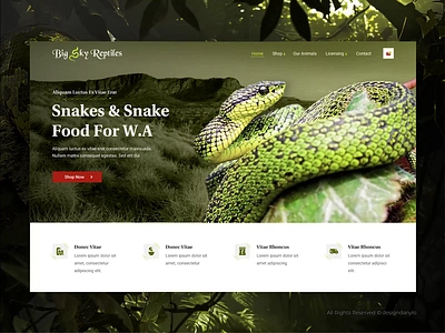 UI UX website for Reptile Experts adobe xd animation branding design figma graphic design icon landing landing page modern shopify ui ux vector web web design website wordpress