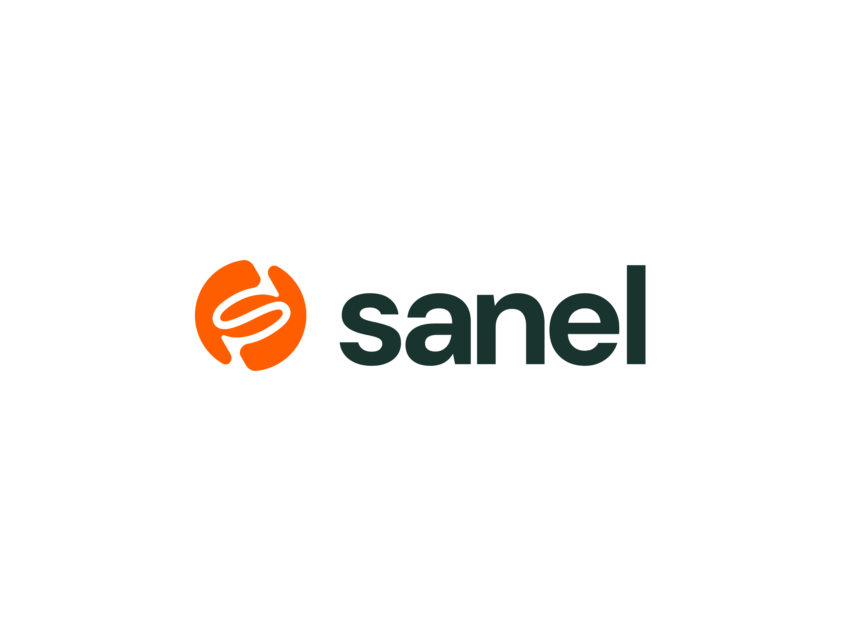 sanel branding dm sans logo orange