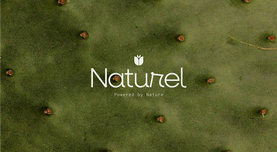 Naturel Branding brand design brand identity branding creative direction graphic design logo packaging