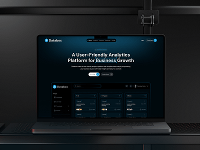 SaaS Website | Databox Analytics platform. app graphic design saas typography ui uiux ux web design