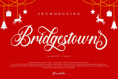 Bridgestown Script Font design font graphic design illustration logo script typography