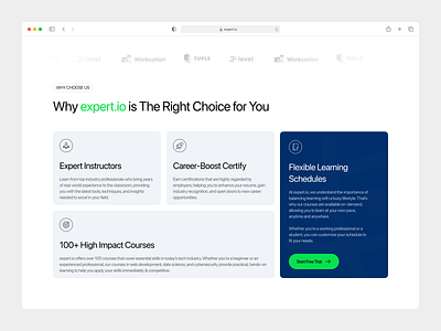 expert.io Web - Section Exploration barkahlabs clean clear course edtech education elegant exploration home page learning platform market fit minimalist online class online course online tutor professional ui ux web class why choose us