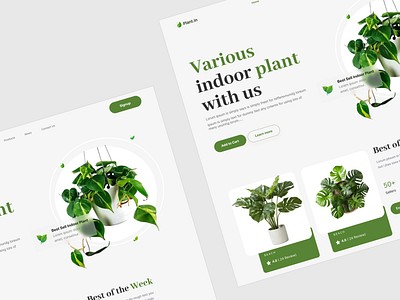 Breathe Easy: Introducing Indoor Plant Website! 🌿 ui