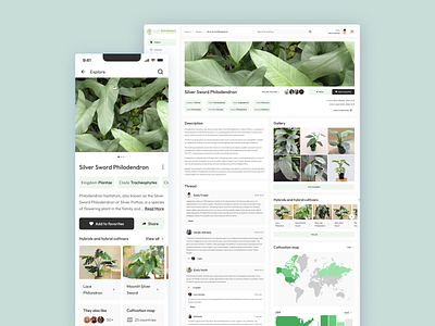 Plant Provenance adaptive app design green landing leaves mobile modal plant platform responsive tree ui ux web world