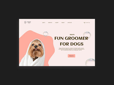 Landing grooming salon busyness design landing life style ui ux web design web site