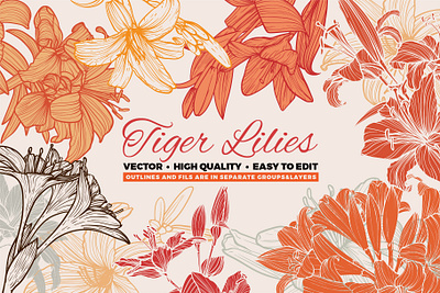 Hand drawn vector tiger lily flowers leaves