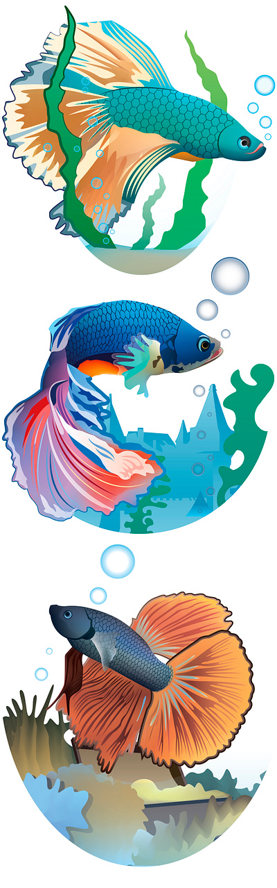 Betta fish blue, green, orange vector illustration 2d art aquarium fishes betta fish green betta fish orange decorative graphic design t shirt vector illustration