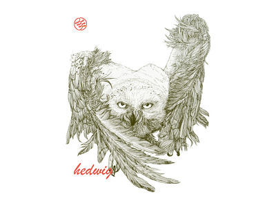 hedwig art drawing art work custom illustration fine line art hedwig illustration illustration work ink drawing needle pen original art original art work owl owl painting painting pen drawing traditional art