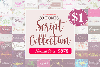 The Script Collection Bundle 3d animation app branding design graphic design illustration logo motion graphics typography ui ux vector