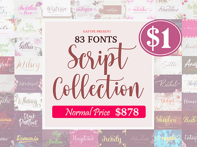 The Script Collection Bundle 3d animation app branding design graphic design illustration logo motion graphics typography ui ux vector