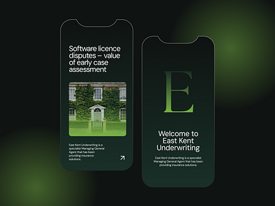 EKU - Insurance Company Mobile branding design digital design graphic design green illustration logo mobile ui ux web webdesign website