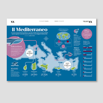 "Mediterranean sea" infographic datavisualization graphic design illustration infographic vectorillustration