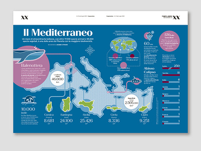 "Mediterranean sea" infographic datavisualization graphic design illustration infographic vectorillustration