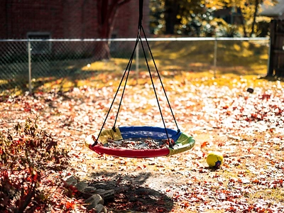 Children's Swing Backyard Fall Morning autumn backyard branding design fall image leaves outdoors photo photographer photography stock photo