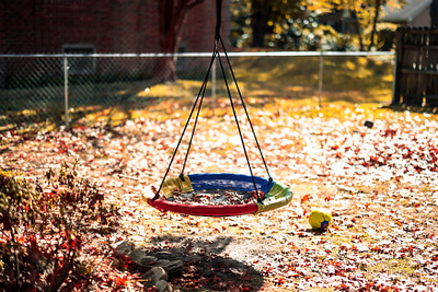 Children's Swing Backyard Fall Morning autumn backyard branding design fall image leaves outdoors photo photographer photography stock photo