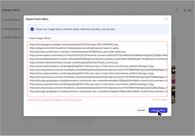 Bulk Image URLs Import b2b bulk actions bulk upload images. assets import images product saas table upload