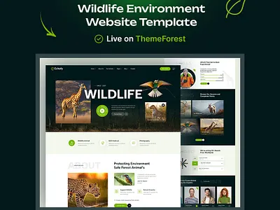 Environment & Solar Renewable Energy The Best Design Website branding business company creative design custom design custom website custom wordpress design environment graphic design illustration landing page logo design modern design solar template theme top design ui wordpress