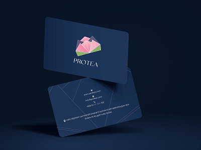 Branding Design for Protea brand identity branding branding design business card business card design favicon deisgn