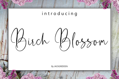 Birch Blossom - Script Font birch blossom branding design font graphic design handwritten illustration logo script