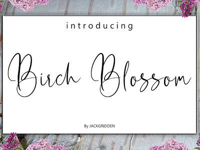 Birch Blossom - Script Font birch blossom branding design font graphic design handwritten illustration logo script