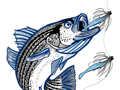 BlazeRunner Jigs for Stripers fishing illustration striper vector