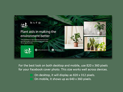 Indoor Plant - Facebook Cover Design advertising banner design branding creative design facebook cover design facebook post graphic design instagram post logo marketing nature plant facebook cover design print product design template ui