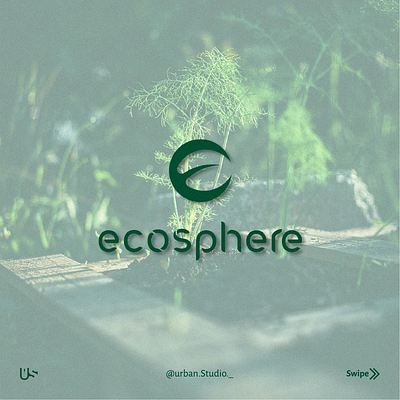 Ecosphere branding graphic design logo