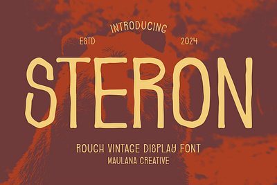 Steron Rough Vintage Display Font animation branding font fonts graphic design logo nostalgic