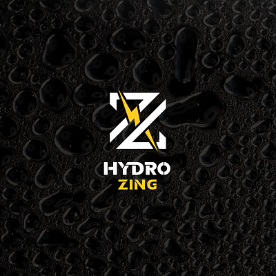 HydroZing - Beverage Company branding graphic design logo