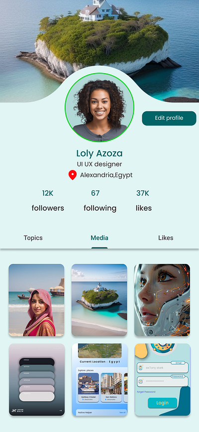 User Profile ui