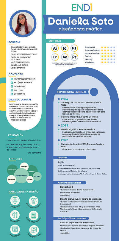 CV Daniela Soto arte digital desarrollo creativo design diseño visual graphic design infographic portafolio