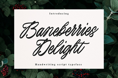 Baneberries Delight Handwriting script branding design font identity illustration lettering logo type typography ui