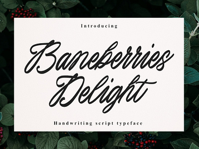 Baneberries Delight Handwriting script branding design font identity illustration lettering logo type typography ui