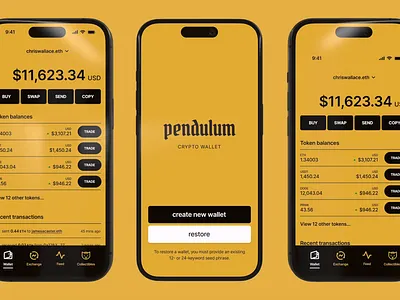 Pendulum - Crypto Wallet Concept ios native ui ux