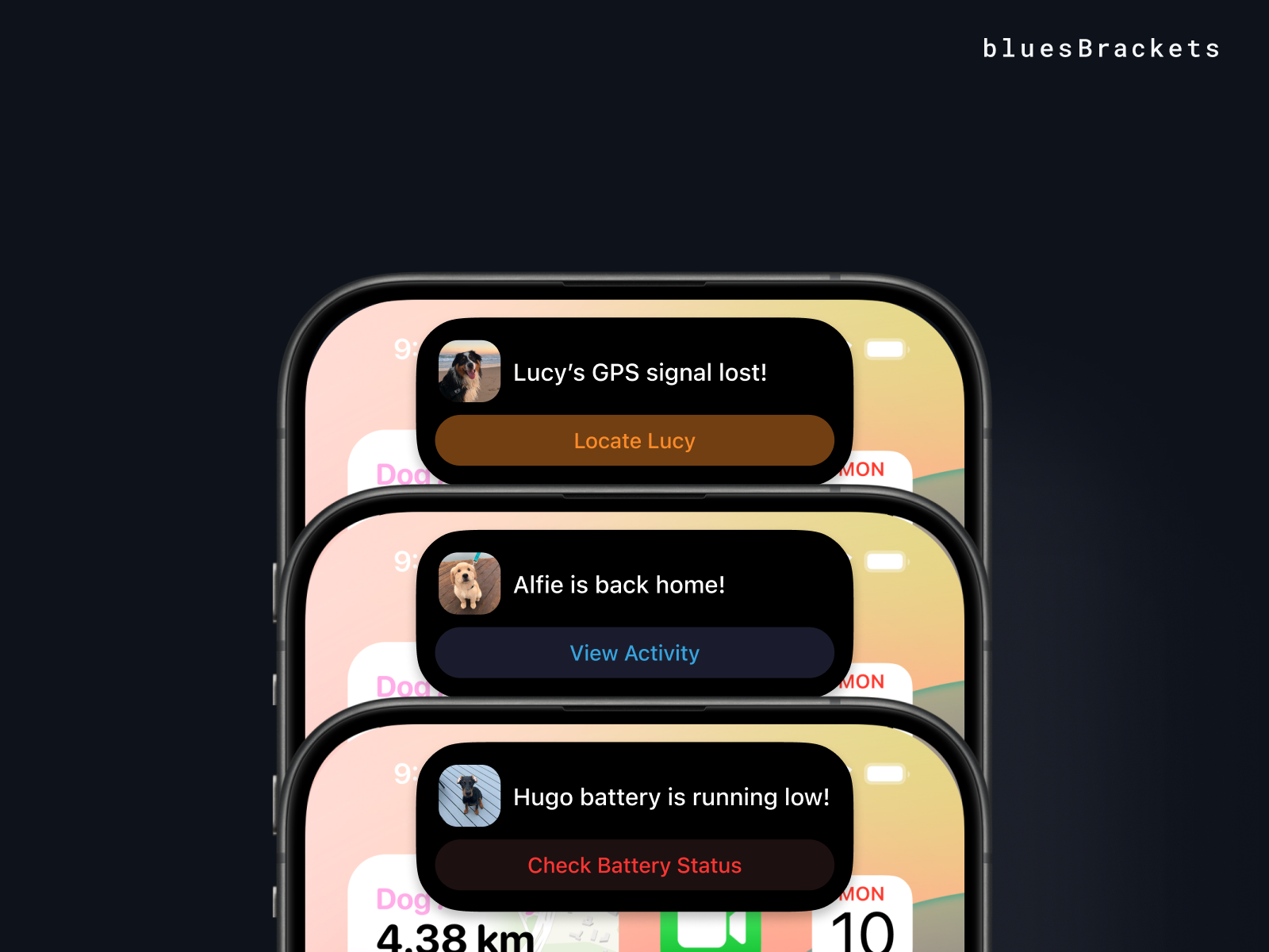 Dynamic Island Alerts for Pet Tracking 🐕🔋📶 dynamicisland mobileui pettracking realtimealerts techforpets