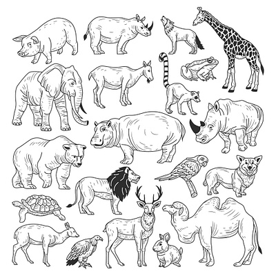 Hand drawing animal collection black