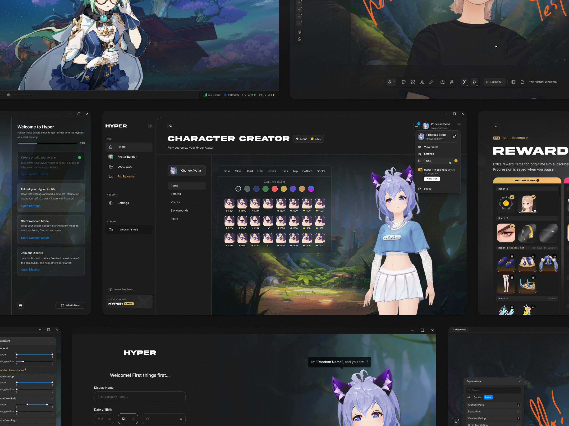 Example of Hyper Online: Avatar VTuber Studio Desktop App