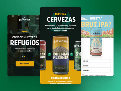 Craft Beer Patagonia Website mobile design ui uidesign web web design web designer webdesign website design