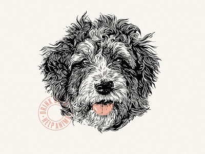 Bernadoodle Illustration beer bernadoodle brewery dog doodle illustration