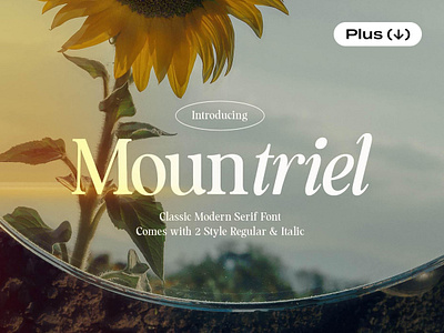 Mountriel — Classic Serif Font classic classic font display display font download elegant elegant font font modern modern font pixelbuddha romantic serif serif font simple type typeface typography vintage wedding