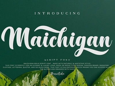 Maichigan Bold Script Font branding calligraphy design font graphic design illustration lettering logo script typography