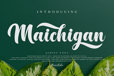 Maichigan Bold Script Font branding calligraphy design font graphic design illustration lettering logo script typography