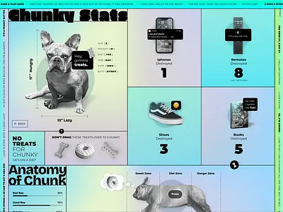 Chunky Stats animation bright colors dog dogs fun funky future futuristic grid grids modern neon neon colors type typography web webdesign website websites